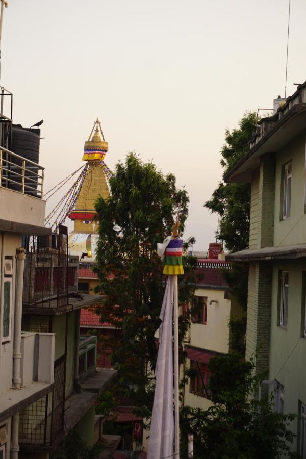 Drakon Nest Homestay Katmandu Eksteriør bilde