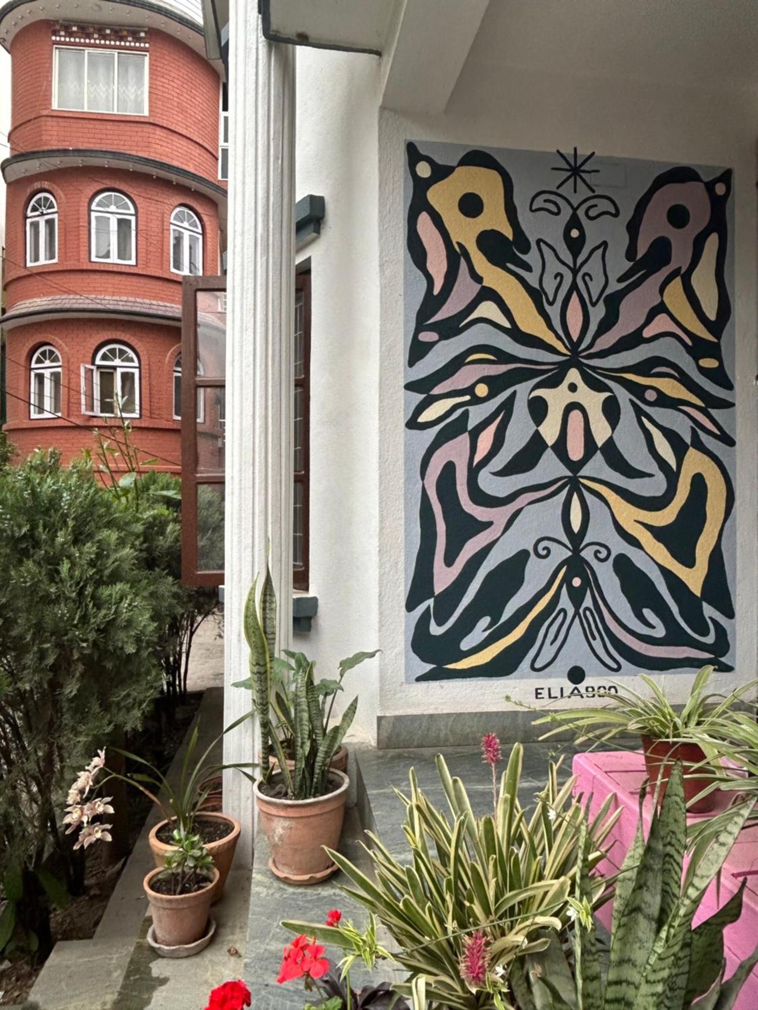 Drakon Nest Homestay Katmandu Eksteriør bilde